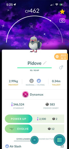 Shiny dynamax pidov - pidov, sfondo
